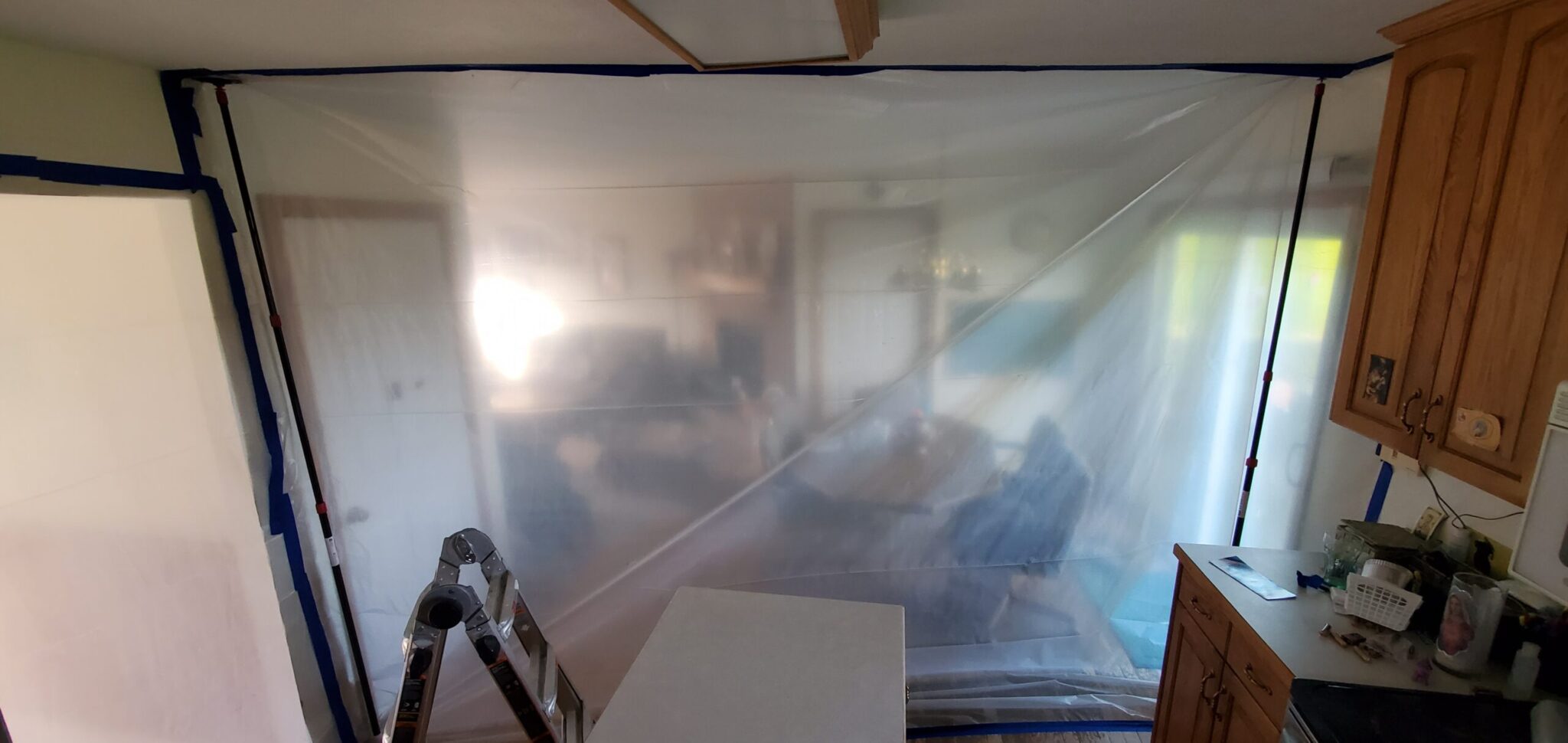 Mold Removal Pittsburgh