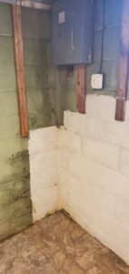 Mold Removal Pittsburgh