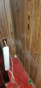 Mold on carpet Pittsburgh