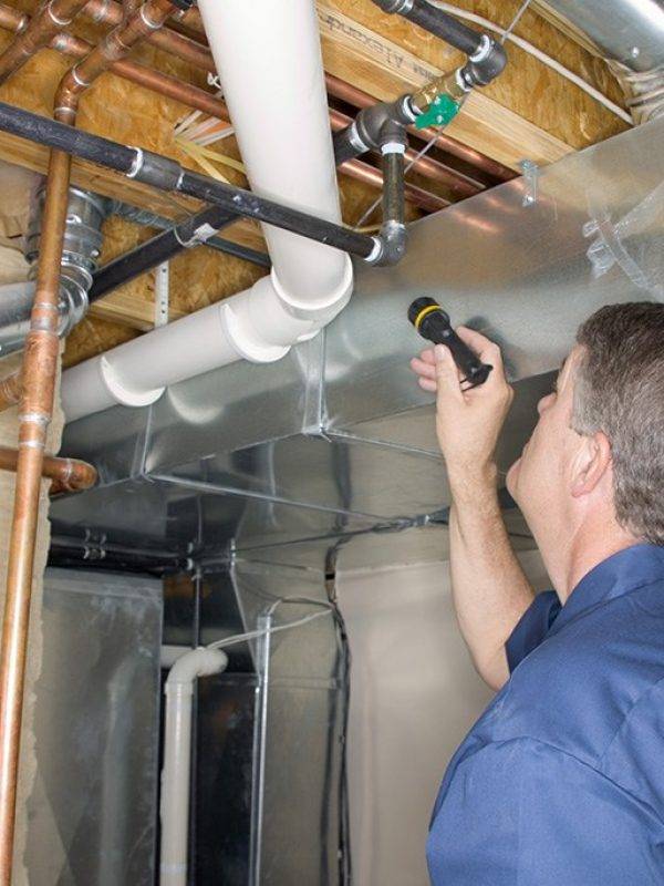 Handyman Inspecting Mold and Pipes